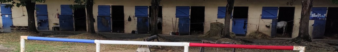 Renaudine Équitation